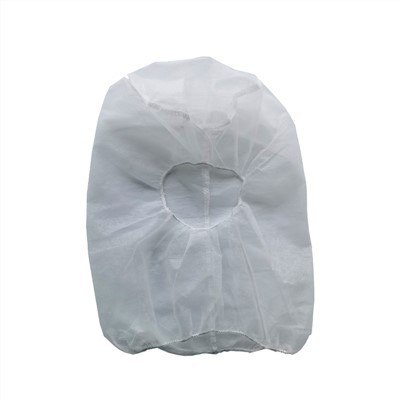 Disposable Hood With Elastic Face Enclosure