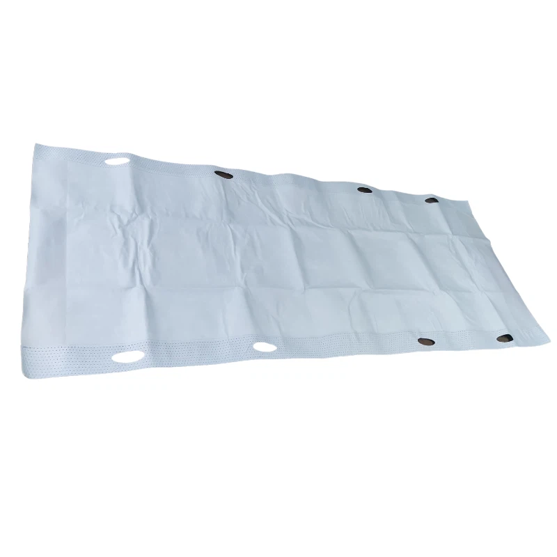 Disposable Transfer Sheets With Absorbent Pad suppliers